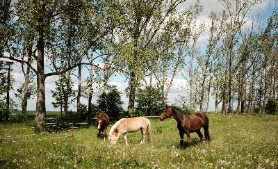 Acreages for sale Calgary